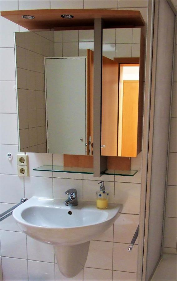 צוויקאו Zentral Gelegene Wohnung Nahe Schwanenteich מראה חיצוני תמונה